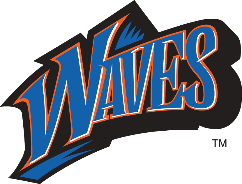 Pepperdine Waves 1998-2003 Wordmark Logo diy iron on heat transfer